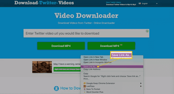 Twitter Vidéo Downloader