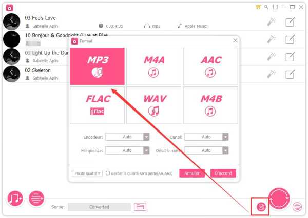 convertir de la musique Apple en format FLAC